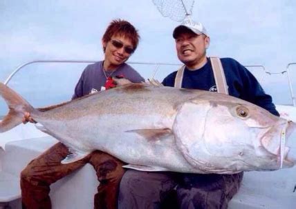 夢見大魚|夢見一條大魚，活著還是死了是什麼意思：13種含義